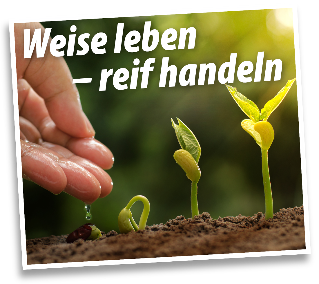 Weise leben – reif handeln