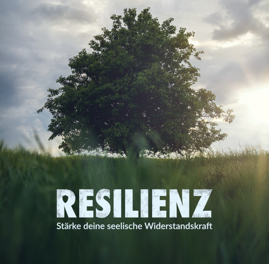 Resilienz